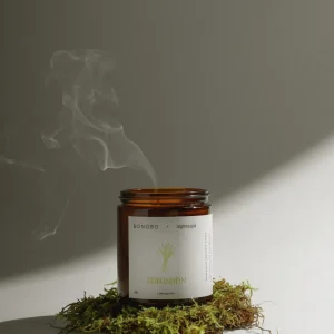 Vela Perfumada de Lemongrass